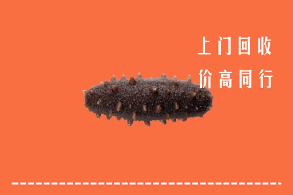 高价求购：丽水市龙泉市回收海参